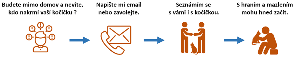 Jak objednat hlídání kočky